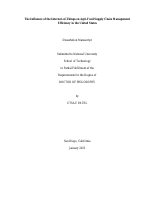 The_Influence_of_the_Internet-.pdf